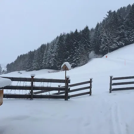 Hauser Kaibling *