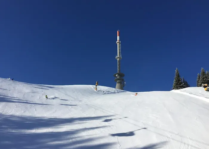 Hauser Kaibling Haus im Ennstal