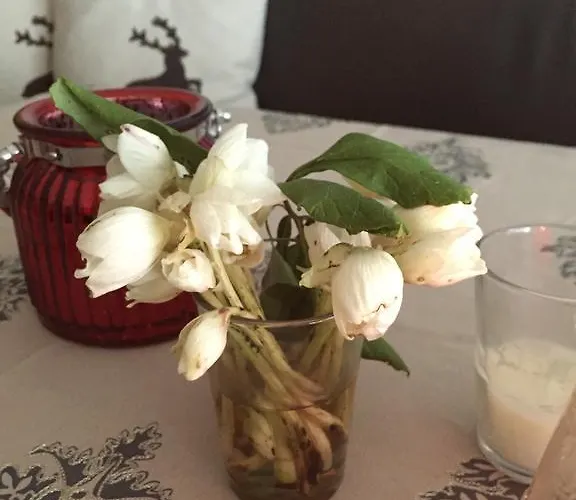 Appartamento Hauser Kaibling *